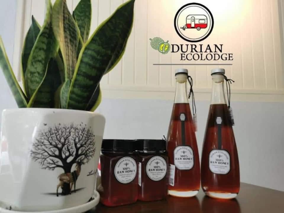 Durian Ecolodge Tampin Eksteriør bilde
