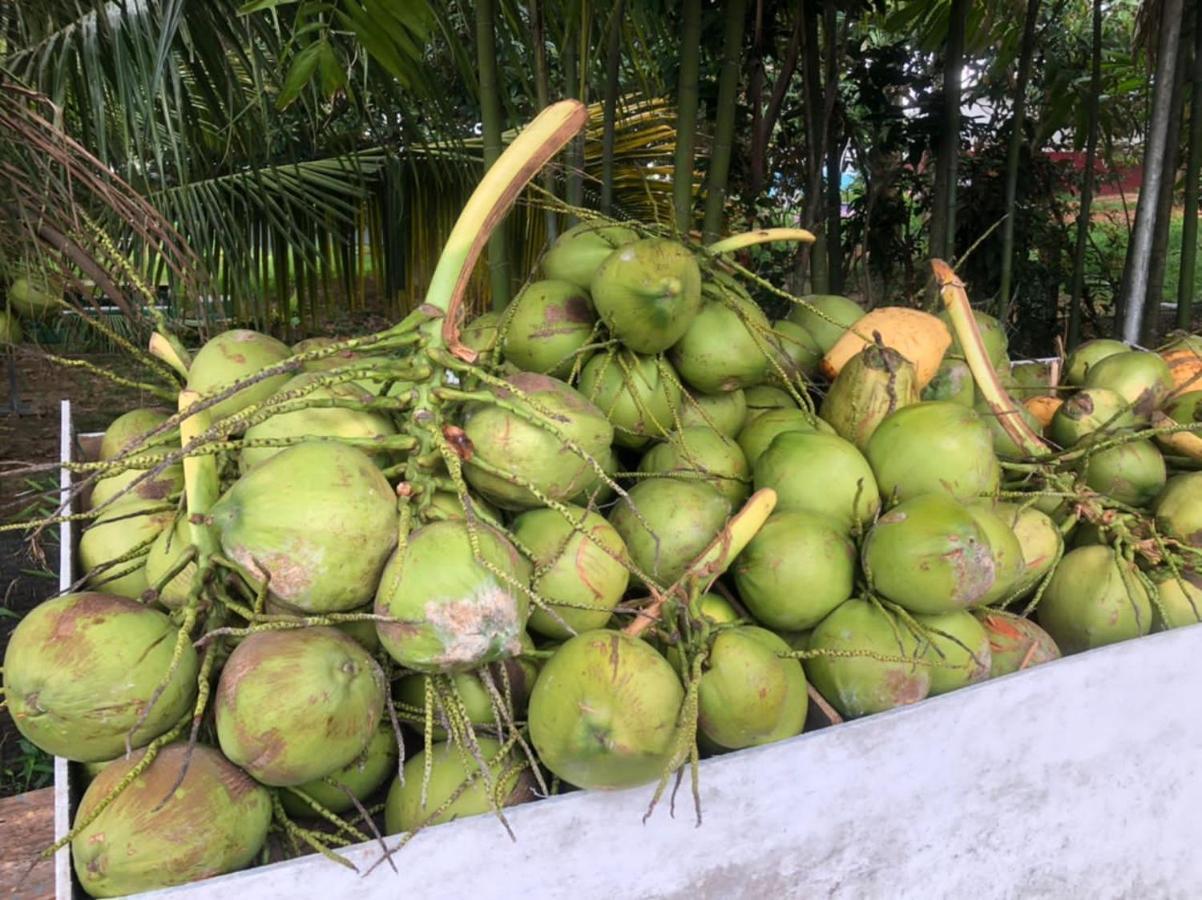 Durian Ecolodge Tampin Eksteriør bilde